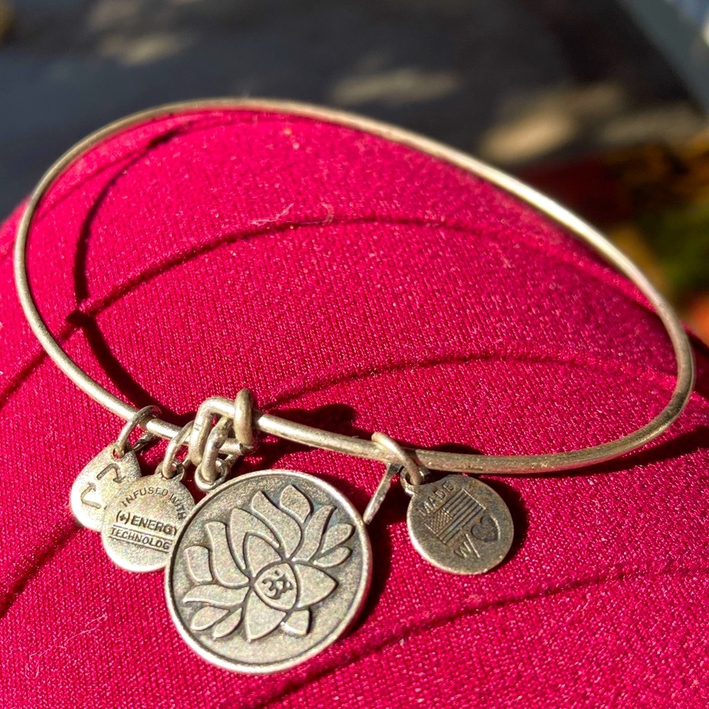 Alex and Ani charm bracelets